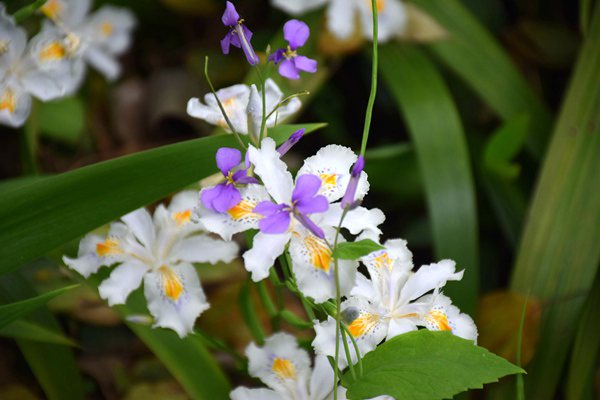 酒泉市公安局《关于开展民用无人驾驶航空器信息采集登记备案和安全管理的通告》