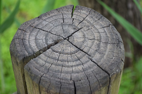 国务院关于完善全国统一电力市场体系的实施意见