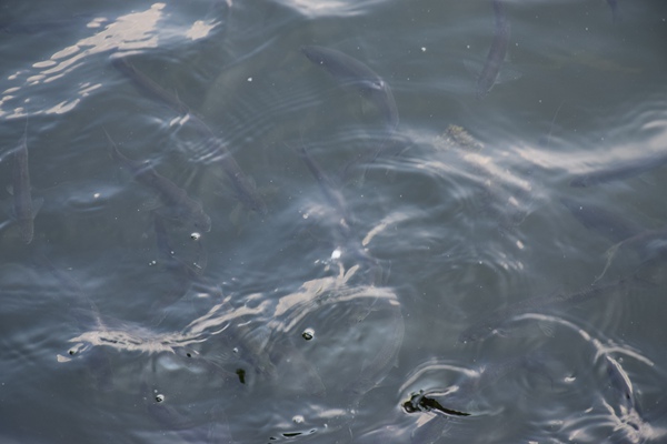 工信部等五部门联合印发《科技服务业标准体系建设指南（2025版）》