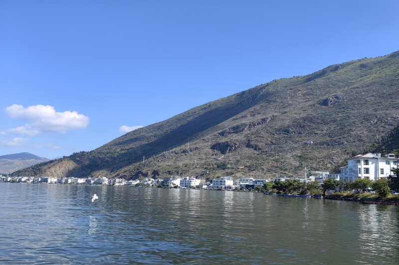 2026年全国电子信息制造业高质量发展行业会议在武汉召开