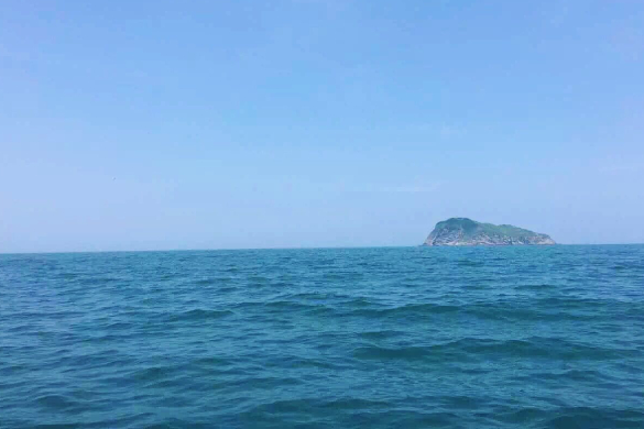 台州市塑料行业协会2025年度工作报告