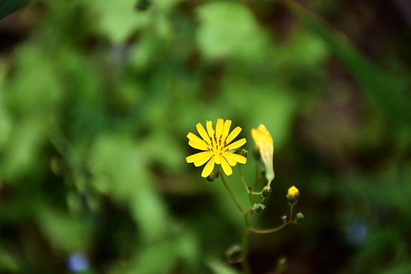 阿博格任命新首席执行官 Volker Nilles 博士