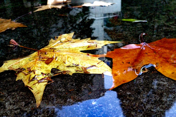 海顺新材 持续拥抱全球市场商机