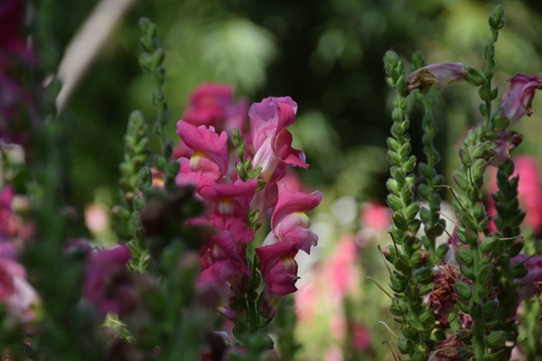 赫斯基科技丨赋能医疗制造，揭秘自动注射器未来与高精密成型之道
