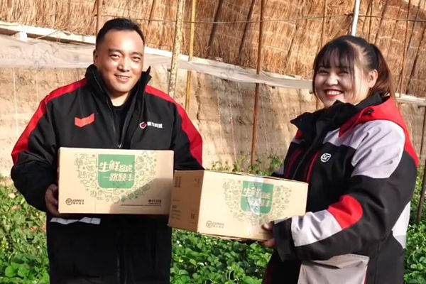 从“最初一公里”开始，顺丰全链路助力“刘家峡草莓”产业升级