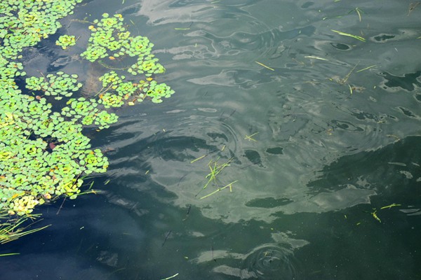 辽宁省政府与省总工会召开联席会议研究新就业群体权益保障工作