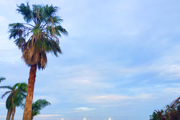 湘琼晋3省局部署做好节日期间行业相关工作