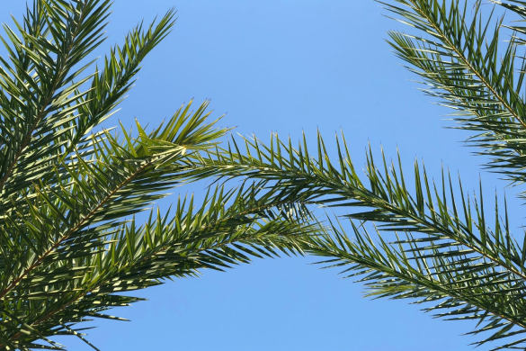 孝感出台责任清单支持邮政快递枢纽建设