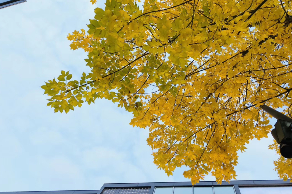 绍兴市委“十五五”规划建议提出重点发展现代物流等生产性服务业