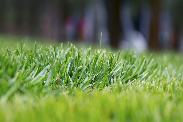 广州市委“十五五”规划建议强调培育面向全国辐射全球的现代物流企业