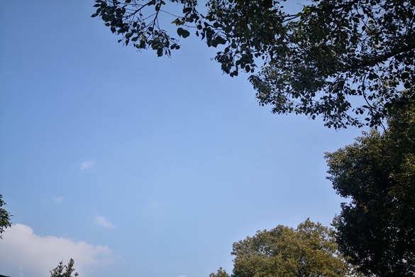 河南局推进“十五五”邮政业发展规划编制工作