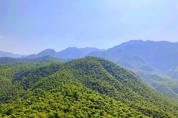 浙江申通瑞盛快递有限公司因未按规定实行统一管理被处以罚款20000元的行政处罚。