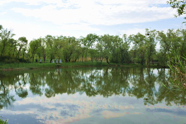 上海大居推进办向市邮政管理局致感谢信