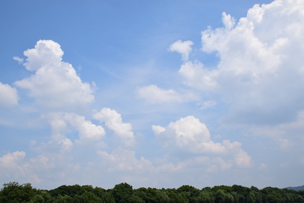 自贡副市长批示肯定市邮政快递枢纽建设工作成效