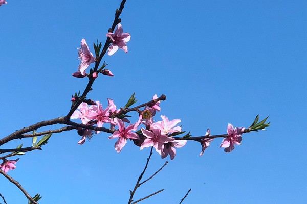 上海韵达公益基金会召开第三届理事会第五次会议