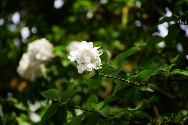 从草原到万家，内蒙古顺丰全链条服务助力特色产业发展