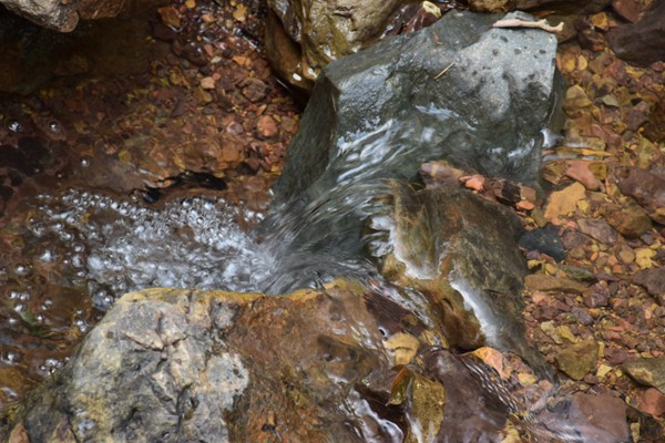 浙江出台文件推动国际快递枢纽和“低空＋物流”建设 行业将迎利好发展