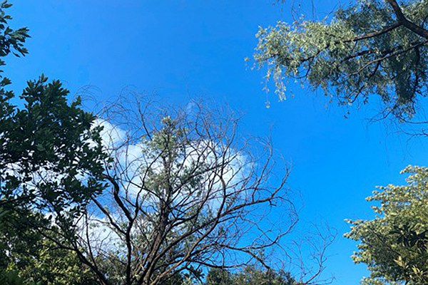 国家邮政局关于2025年快递服务满意度调查和时限妥投率测试结果的通告