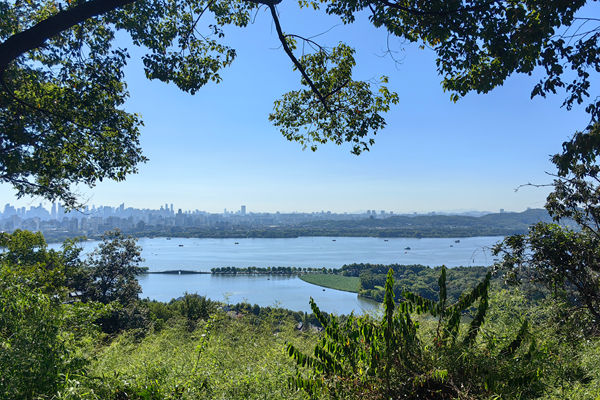 国家邮政局召开局长办公会议：部署安排2026年建议提案办理工作