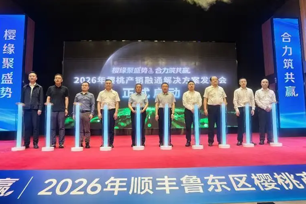 十九载打造产销共荣生态链，顺丰荣获烟台大樱桃”地理标识授权”