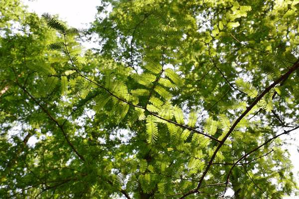 家纺行业AI场景应用创新对接会成功举办