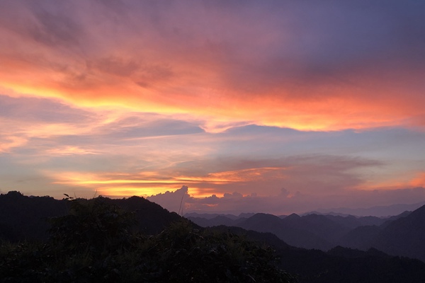 数据 | 2025年1-12月中国服装进出口分析