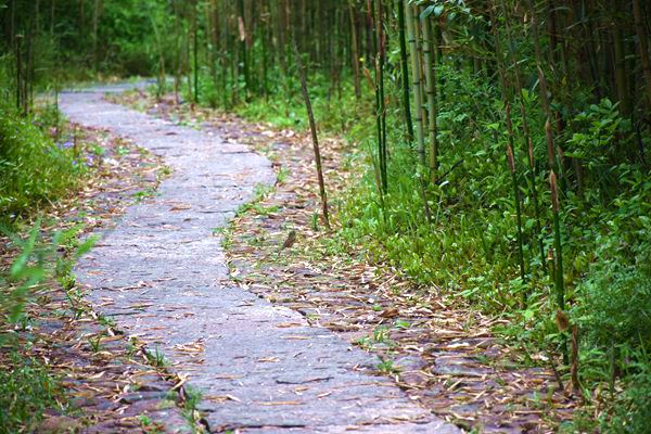 关于举办中纺圆桌第二十届年会的通知