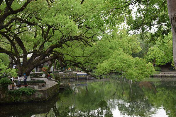 关于下达《梳棉机棉结检测器》、《棉纺设备协同管控平台通用要求》及《光电式纤维落杂检测器》等三项中纺机团体标准计划项目的通知